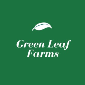 Logo Design entry 2004112 submitted by ASDESIGNS