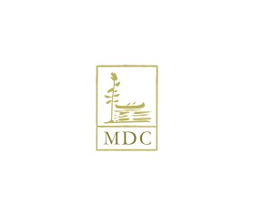 MDC entry by xtragraphics