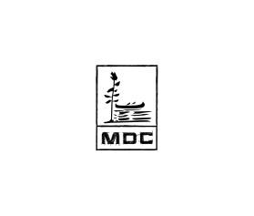 MDC entry by xtragraphics