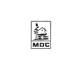 MDC entry by xtragraphics