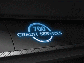 700 Credit Services entry by rayya