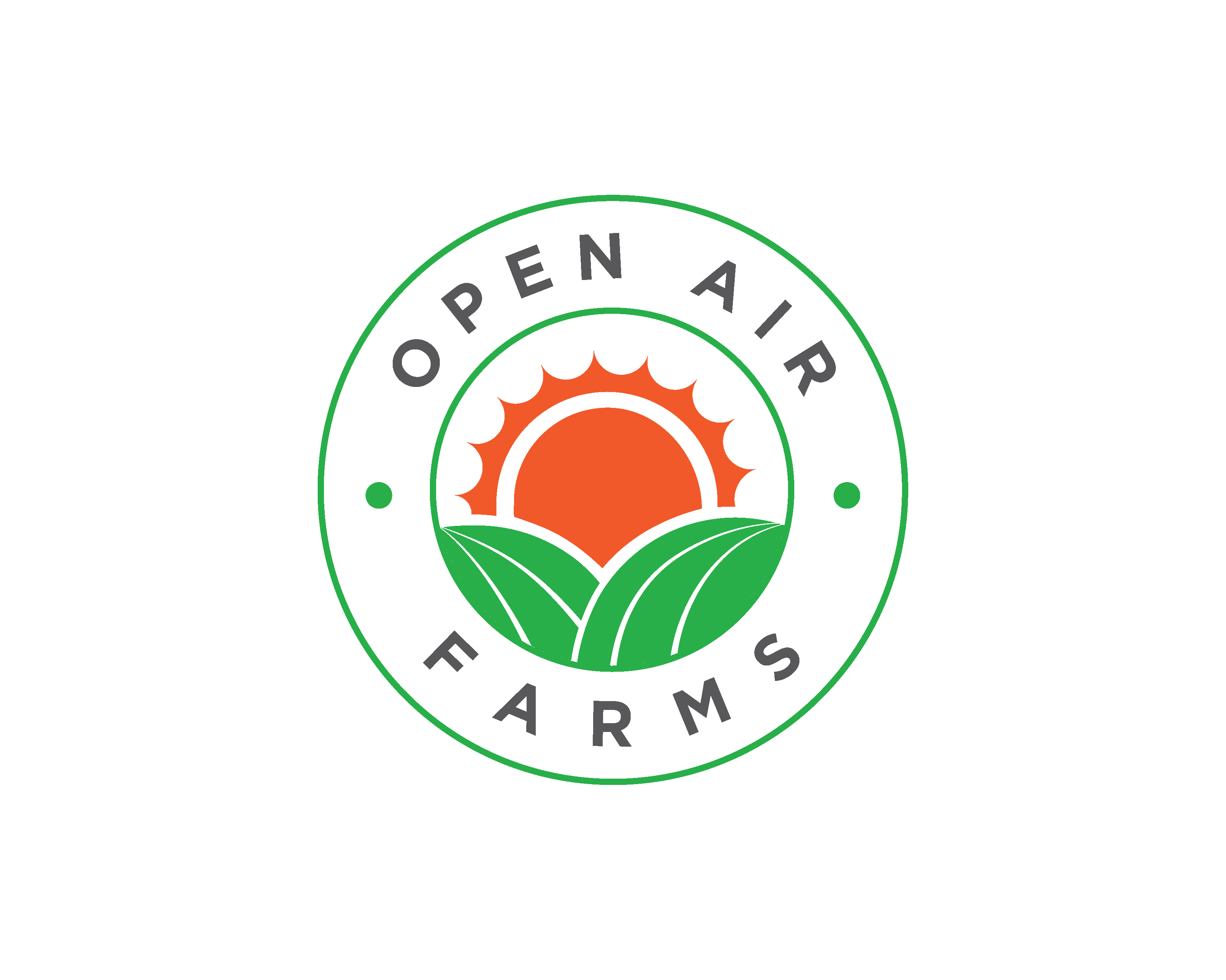 Circular Sun Logo