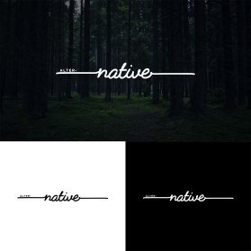 ALTERNATIVE entry by Secret_Base&trade;