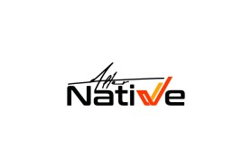 ALTERNATIVE entry by regan