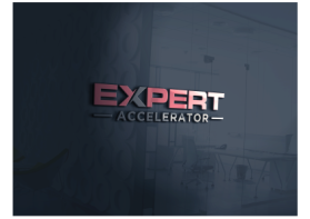 Expert Accelerator entry by erna091