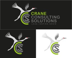 Crane Consulting Solutions entry by debraj6852
