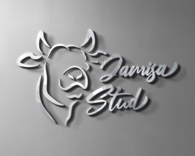 Jamisa Stud  entry by mrickyn