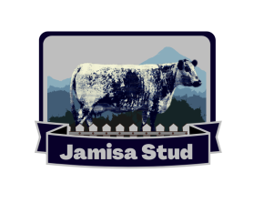 Jamisa Stud  entry by Pyramid Graphics