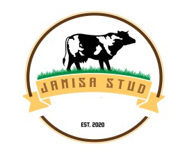 Jamisa Stud  entry by Design-z