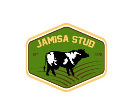 Jamisa Stud  entry by Design-z