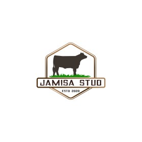 Jamisa Stud  entry by Shark Attack