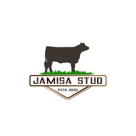 Jamisa Stud  entry by Shark Attack
