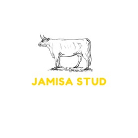 Jamisa Stud  entry by ASDESIGNS