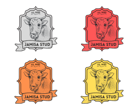 Jamisa Stud  entry by Pyramid Graphics