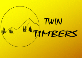 Twin Timbers entry by Ekki2019i
