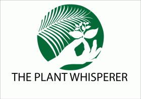 The Plant Whisperer entry by Ekki2019i