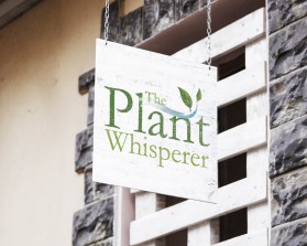 The Plant Whisperer entry by quimcey