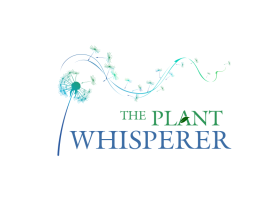The Plant Whisperer entry by Jagad Langitan