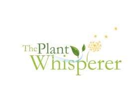 The Plant Whisperer entry by quimcey