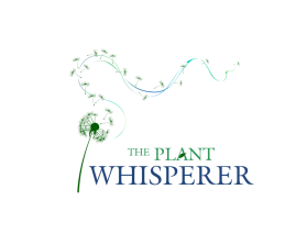 The Plant Whisperer entry by Jagad Langitan