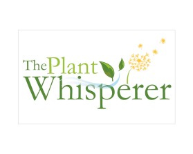 The Plant Whisperer entry by quimcey