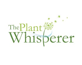 The Plant Whisperer entry by quimcey