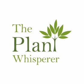The Plant Whisperer entry by RIFAN321