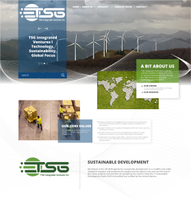TSG Integrated Ventures entry by Sasandira