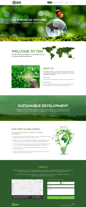 TSG Integrated Ventures entry by pink