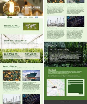 TSG Integrated Ventures entry by yOrz13