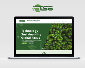 TSG Integrated Ventures entry by devintaule