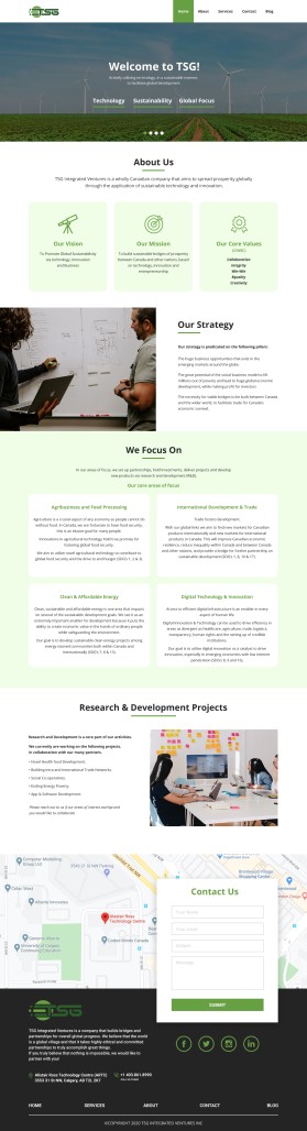 TSG Integrated Ventures entry by Rehan