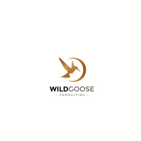 WILD GOOSE entry by Niyiart