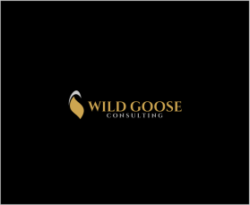 WILD GOOSE entry by robertdc