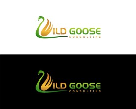 WILD GOOSE entry by jragem