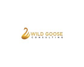 WILD GOOSE entry by jragem