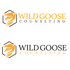 WILD GOOSE entry by dignr08
