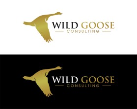 WILD GOOSE entry by Salman