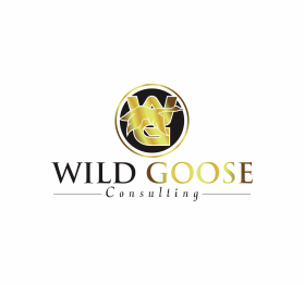 WILD GOOSE entry by Mc'Queen