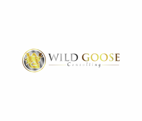 WILD GOOSE entry by Mc'Queen