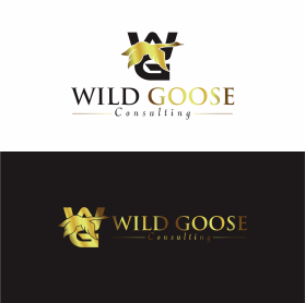 WILD GOOSE entry by Mc'Queen