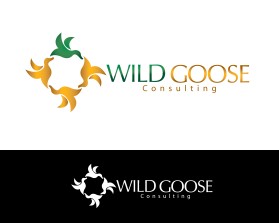 WILD GOOSE entry by OM18