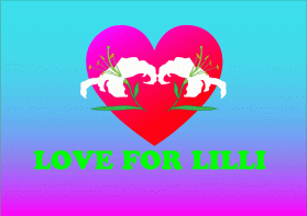 Love for Lilli entry by Ekki2019i