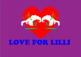 Love for Lilli entry by Ekki2019i