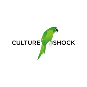 CULTURE SHOCK  entry by yaya