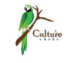 CULTURE SHOCK  entry by entrocreation