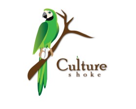 CULTURE SHOCK  entry by entrocreation