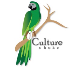 CULTURE SHOCK  entry by entrocreation