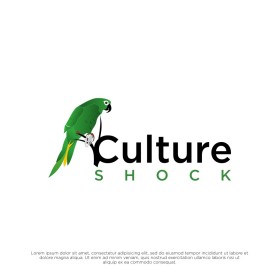 CULTURE SHOCK  entry by yaya