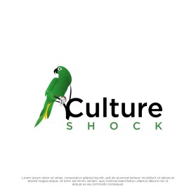CULTURE SHOCK  entry by yaya